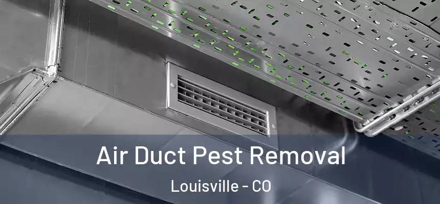  Air Duct Pest Removal Louisville - CO