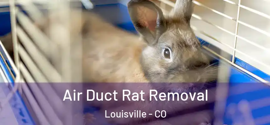 Air Duct Rat Removal Louisville - CO