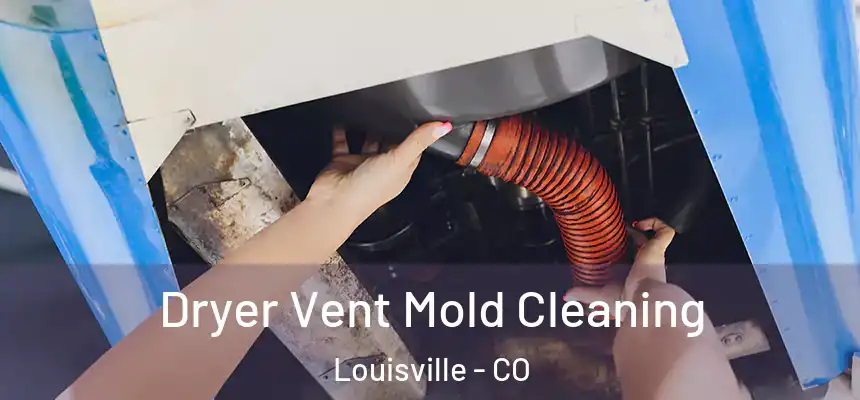 Dryer Vent Mold Cleaning Louisville - CO