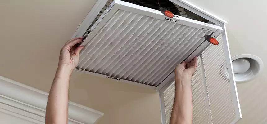 Preventive Cockroach-Proofing for Ducts in Louisville
