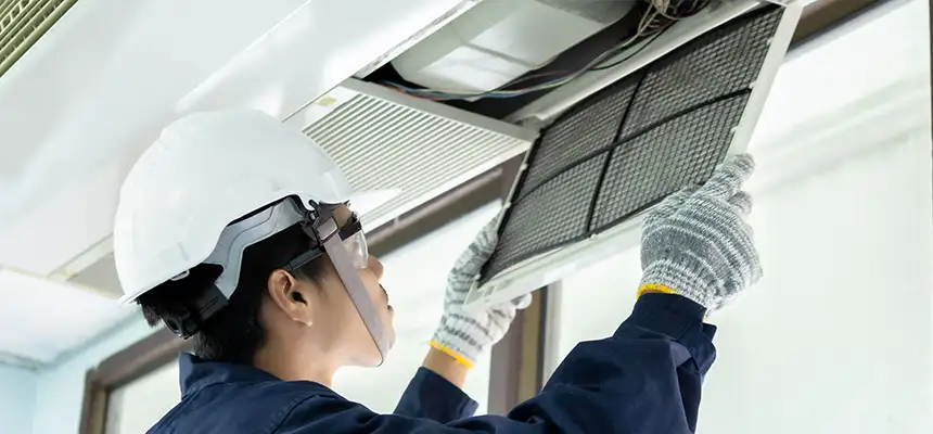 Our Lint Trap Cleaning Service Services in Louisville, CO