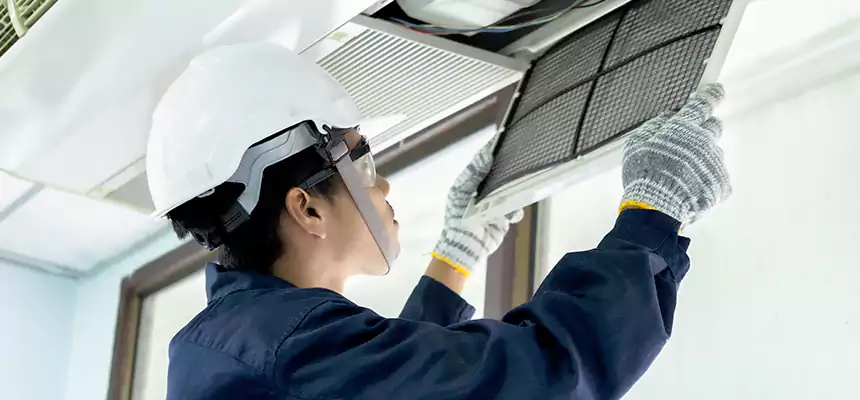 Our Mold & Mildew Removal from Air Ducts Services in Louisville, CO