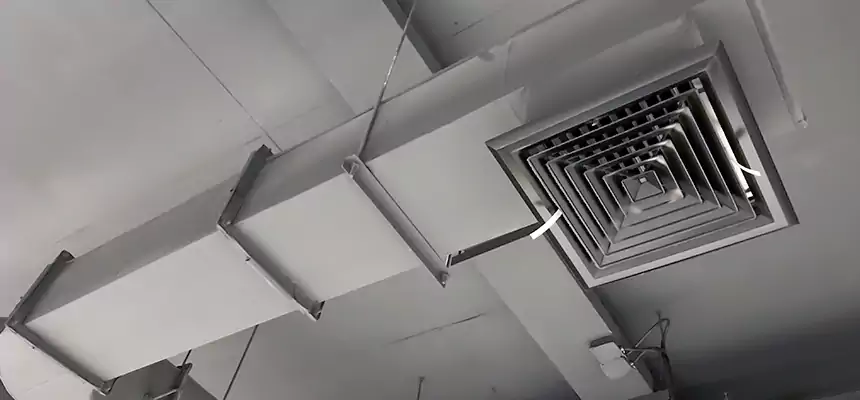 Our Pest Removal From Ducts Services in Louisville, CO