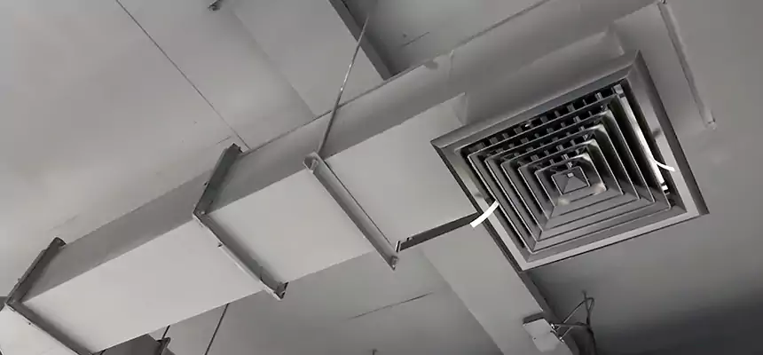 Our Rodent Droppings In Vents Services in Louisville, CO