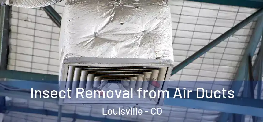  Insect Removal from Air Ducts Louisville - CO