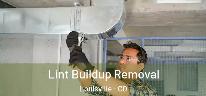  Lint Buildup Removal Louisville - CO