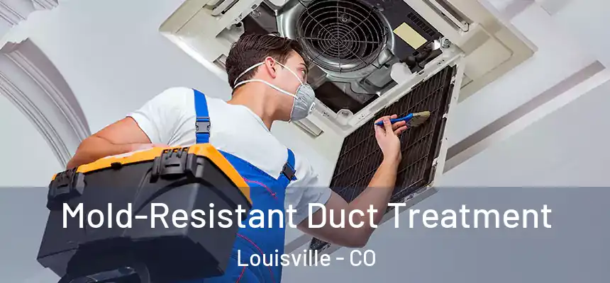  Mold-Resistant Duct Treatment Louisville - CO