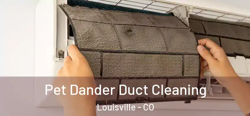 Pet Dander Duct Cleaning Louisville - CO