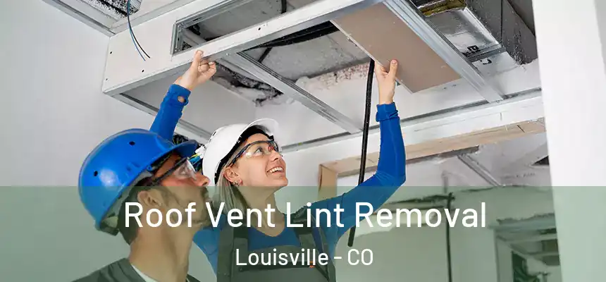 Roof Vent Lint Removal Louisville - CO