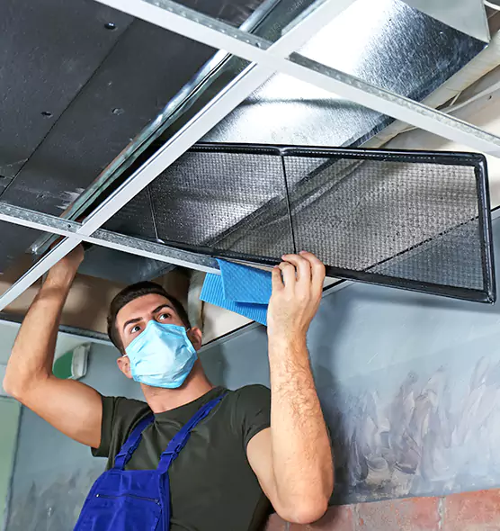 About Air Duct Bacteria Removal in Louisville