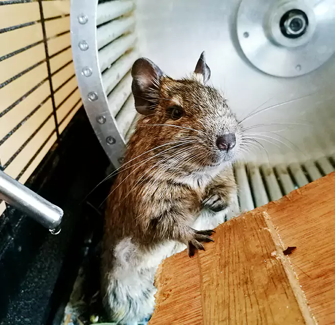 Why Homeowners & Businesses Trust Us Louisville, CO